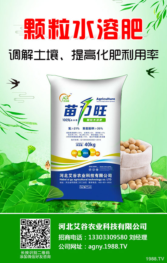 空心菜怎樣施肥產(chǎn)量高，空心菜施肥技巧有哪些？