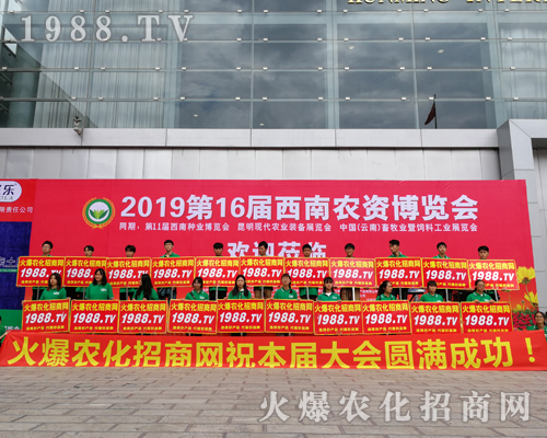     2019�����r(n��ng)�Y���[�������r(n��ng)���W(w��ng)�������o̎����