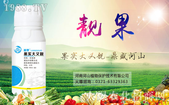 �r(n��ng)���W(w��ng)ϲӭ�����ѣ����Ϻ�ɽֲ��ɹ����s1988.TV��