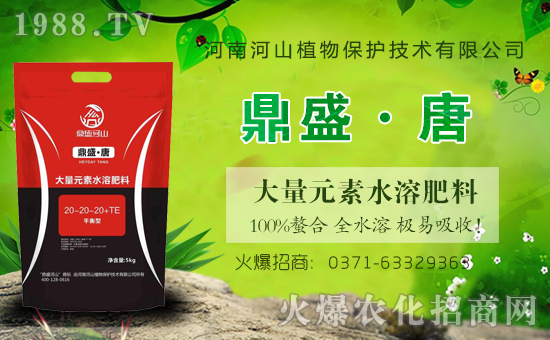 �r(n��ng)���W(w��ng)ϲӭ�����������Ϻ�ɽֲ��ɹ����s1988.TV��