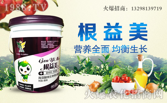 �~֮������ɹ����v�r(n��ng)���W(w��ng)���_�ؾW(w��ng)�j(lu��)������������