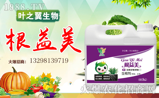 �~֮������ɹ����v�r(n��ng)���W(w��ng)���_�ؾW(w��ng)�j(lu��)������������