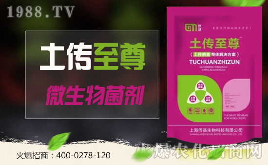 �Ϻ��S�������ٶȔy��1988.TV���y���ل�(chu��ng)���x����