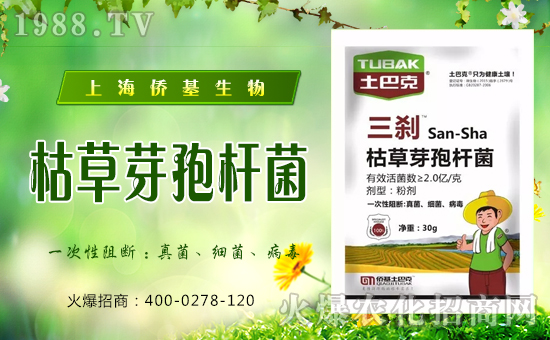 �Ϻ��S�������ٶȔy��1988.TV���y���ل�(chu��ng)���x����