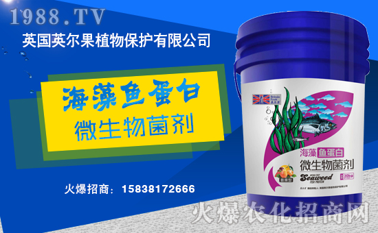 ������������Ӣ����ֲ��y���r(n��ng)���W(w��ng)�����W(w��ng)�j����·��