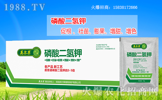 ������������Ӣ����ֲ��y���r(n��ng)���W(w��ng)�����W(w��ng)�j����·��