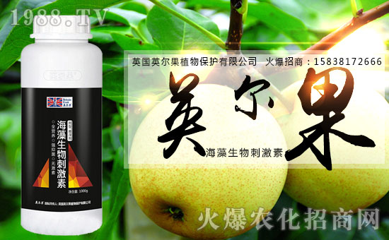 ������������Ӣ����ֲ��y���r(n��ng)���W(w��ng)�����W(w��ng)�j����·��