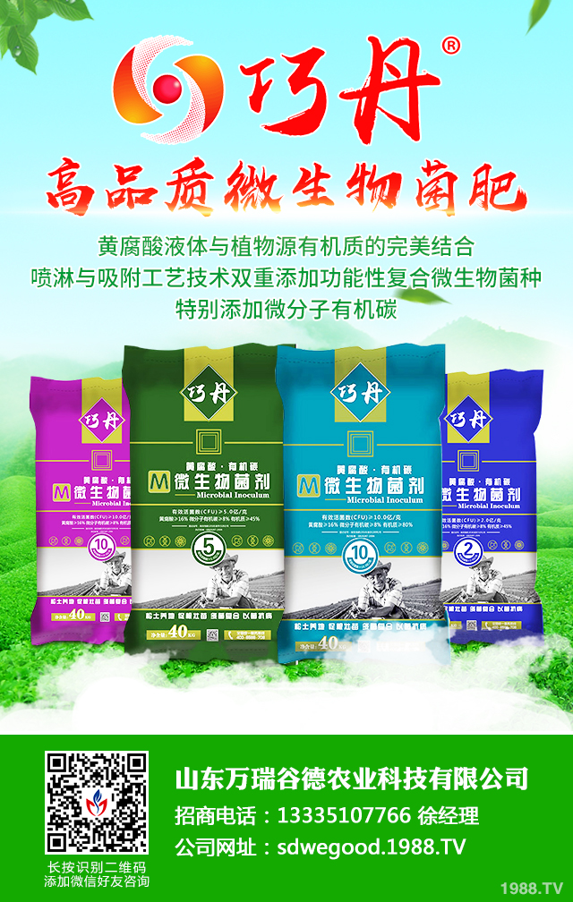 絲瓜早衰怎么防治效果好？絲瓜早衰防治方法