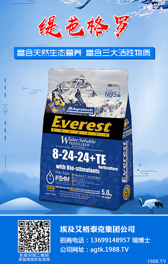 茄子什么時間育苗？茄子育苗方法