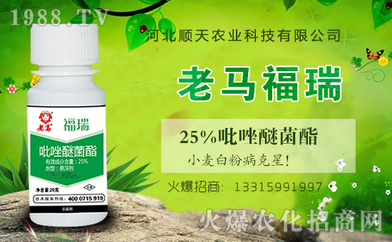 火爆農(nóng)化網(wǎng)再簽河北順天農(nóng)業(yè),促進(jìn)戰(zhàn)略合作再升級(jí)!