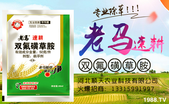 火爆農(nóng)化網(wǎng)再簽河北順天農(nóng)業(yè),促進(jìn)戰(zhàn)略合作再升級(jí)!