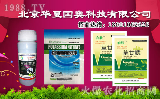 �����A�ć�(gu��)�W�ٺ����r(n��ng)���W(w��ng)������(sh��)�F(xi��n)�v�w��(m��ng)��