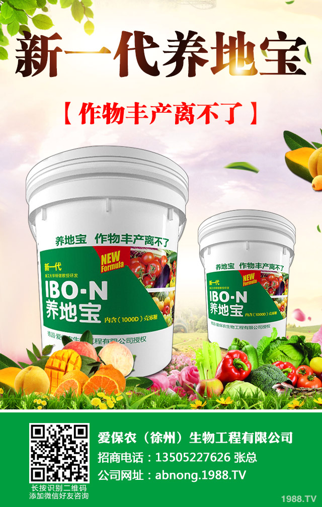 油菜葉紅苗缺什么？油菜紅苗的因素及防治