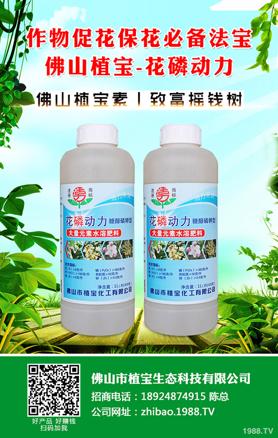 芹菜有哪些品種？吃芹菜的好處有哪些？快來(lái)看看吧！