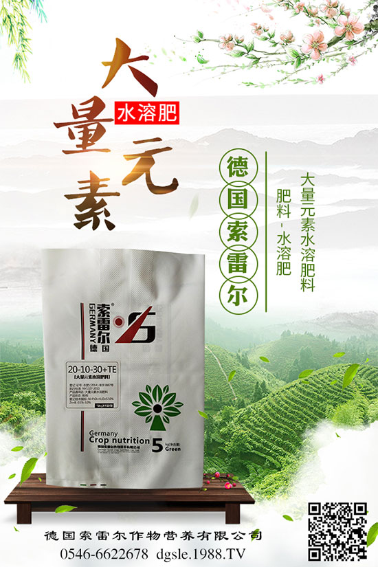 青棗的功效與作用，吃青棗有什么好處？