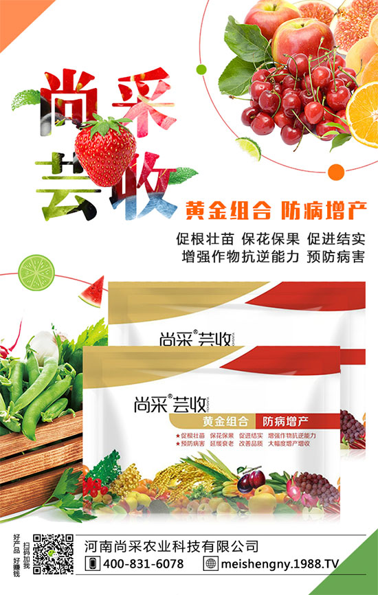 棗樹(shù)座果率低的原因是什么呢?棗樹(shù)如何提高座果率?