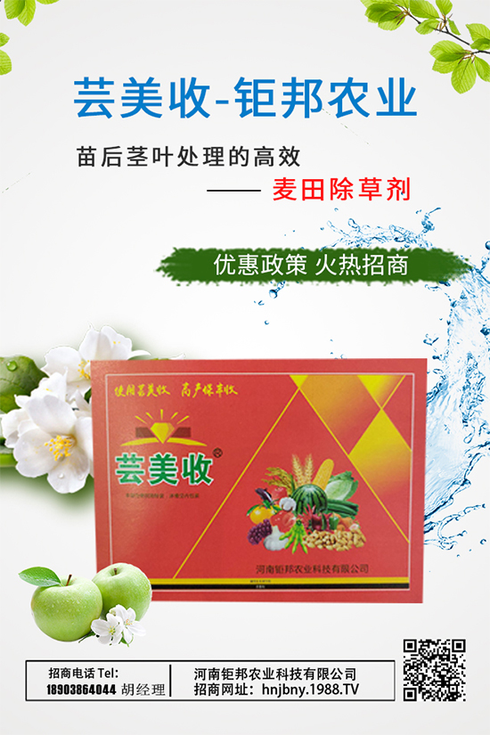 大蔥需肥特性，大蔥施肥技術(shù)要點有哪些？