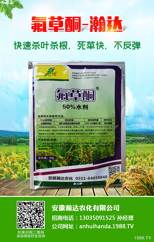 水稻青苔怎么辦？水稻青苔防治方法