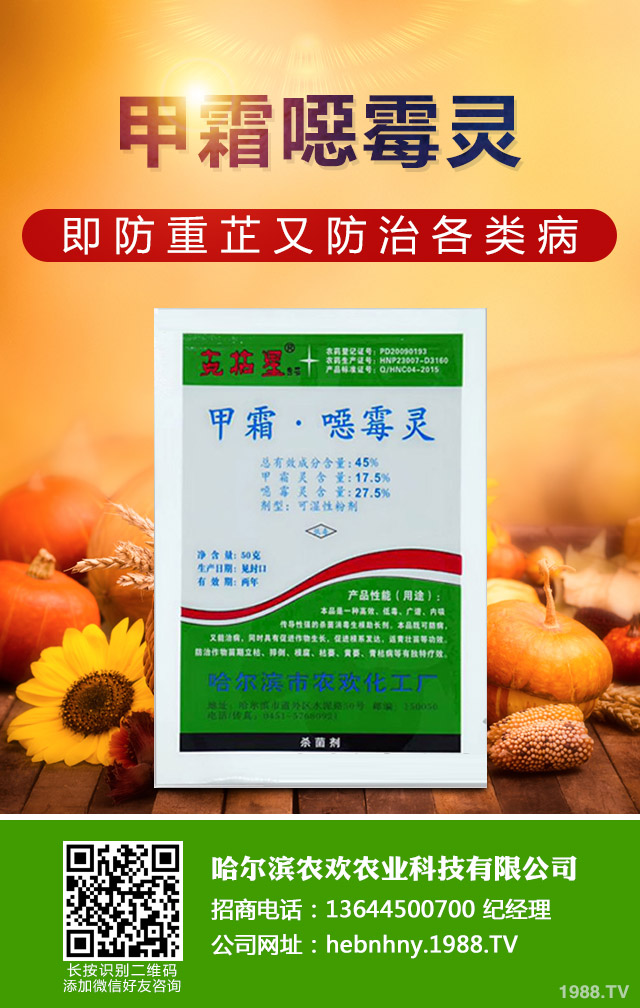 龍眼鬼帚病怎么辦？龍眼鬼帚病的防治方法