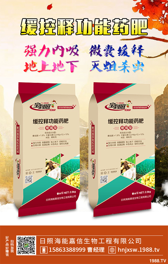 芹菜該如何種植？注意些什么？芹菜高產(chǎn)種植方案