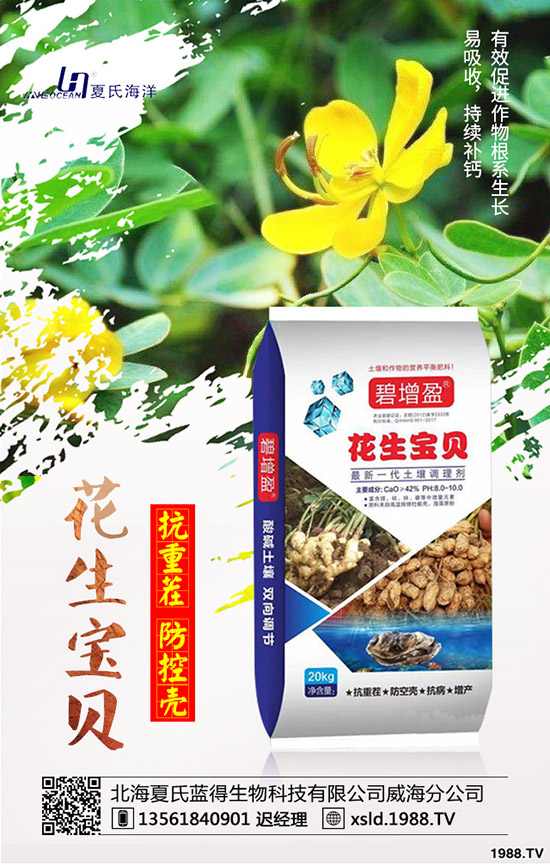 板藍(lán)根種前景如何？板藍(lán)根高產(chǎn)種植要點(diǎn)！