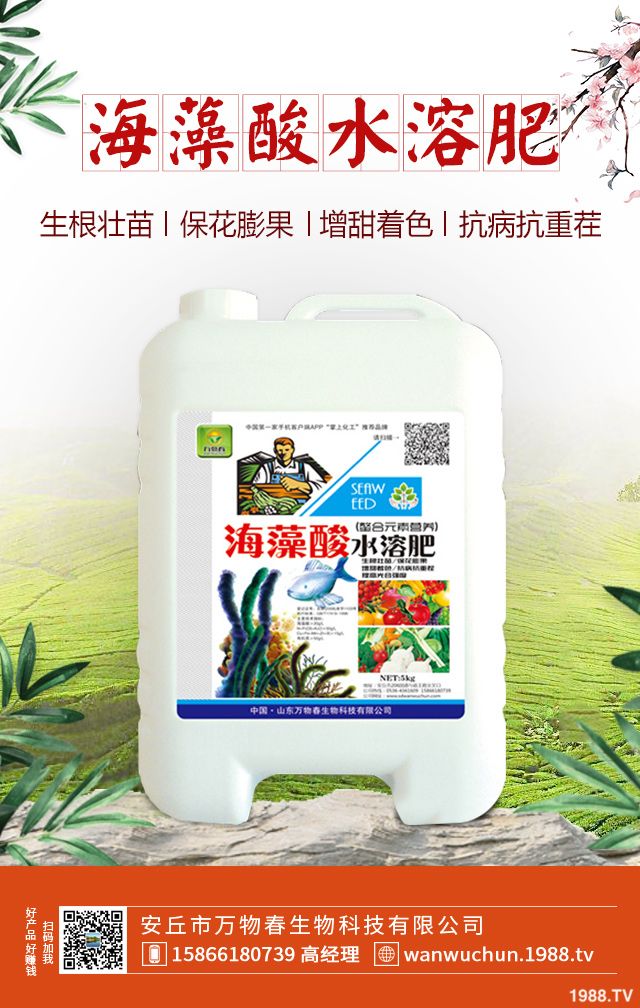 紫皮蒜怎么種植？紫皮蒜的種植管理方法