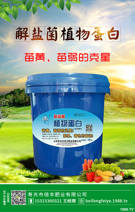 芹菜立枯病時(shí)如何引起的？該怎樣預(yù)防？芹菜立枯病大預(yù)防措施