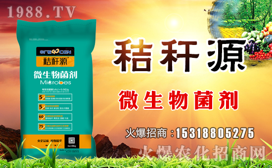 ɽ�|�f�����B(t��i)���v���r(n��ng)���W(w��ng)�����\�����°l(f��)չ��