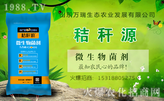 ɽ�|�f�����B(t��i)���v���r(n��ng)���W(w��ng)�����\�����°l(f��)չ��