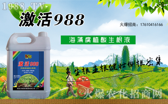 Ӣ�������ٶȔy��1988.TV���y�ֹ���(chu��ng)��(zh��n)�����ل�(chu��ng)�x����