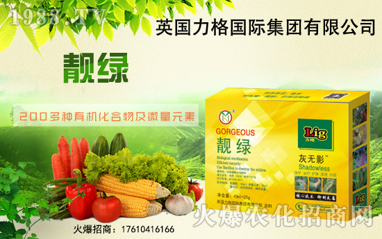 Ӣ�������ٶȔy��1988.TV���y�ֹ���(chu��ng)��(zh��n)�����ل�(chu��ng)�x����