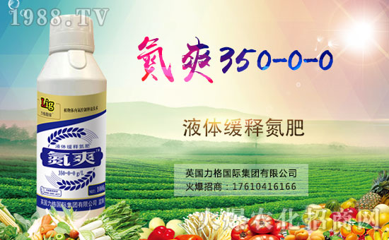 Ӣ�������ٶȔy��1988.TV���y�ֹ���(chu��ng)��(zh��n)�����ل�(chu��ng)�x����