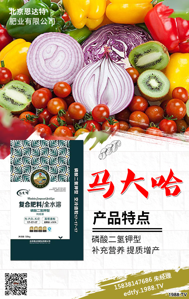 大棚蔬菜施肥中存在哪些問題？大棚蔬菜種植技術(shù)