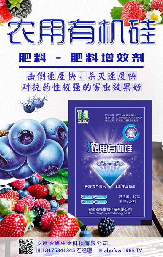 枸杞得了炭疽病怎么辦？枸杞炭疽病危害及防治方法！