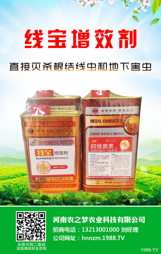 芹菜軟腐病是如何引起的？該怎樣防治？快來(lái)看看吧！