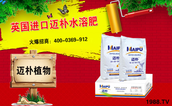 Ӣ���~���c���r(n��ng)���W(w��ng)���m(x��)ǰ�����y�ֹ���(chu��ng)���x����