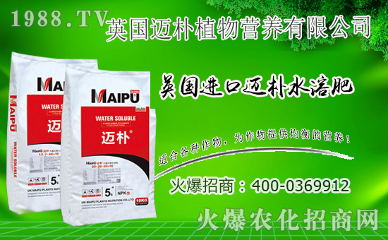 Ӣ���~���c���r(n��ng)���W(w��ng)���m(x��)ǰ�����y�ֹ���(chu��ng)���x����