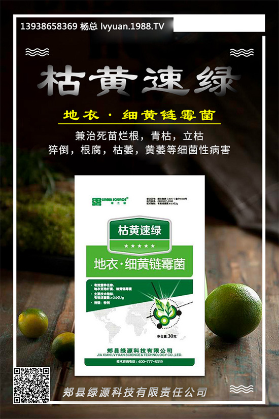 芹菜早疫病有哪些危害？是如何發(fā)生的？芹菜早疫病的發(fā)生與防治