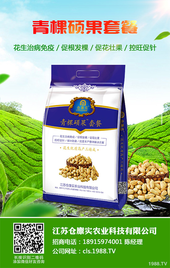 芹菜病毒病危害巨大，到底該如何防治？芹菜病毒病的防治措施