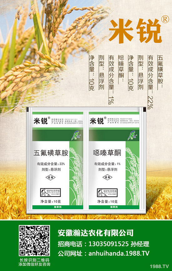 吃菠菜有哪些好處？菠菜的營養(yǎng)價值有哪些？