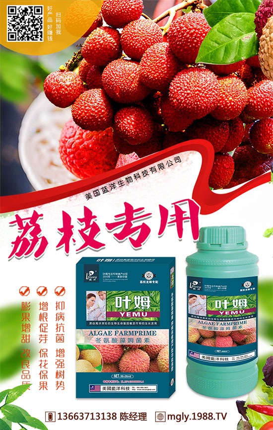 今日國(guó)內(nèi)復(fù)合肥價(jià)格行情及后市預(yù)測(cè)2019.8.29