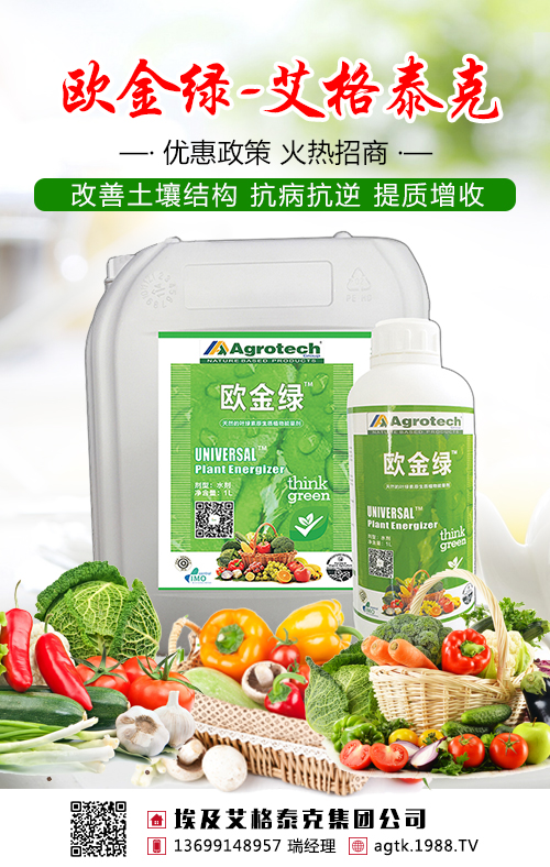 不要盲目施肥了,茶葉需要吃對(duì)糧!