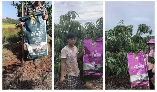 【微生物菌劑+有機(jī)肥】效果牛逼!施一遍頂三遍,省力又高產(chǎn)!