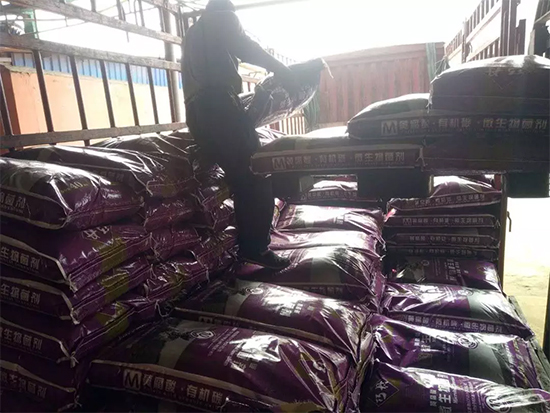 【微生物菌劑+有機(jī)肥】效果牛逼!施一遍頂三遍,省力又高產(chǎn)!