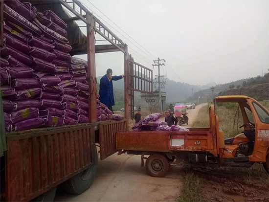 【微生物菌劑+有機(jī)肥】效果牛逼!施一遍頂三遍,省力又高產(chǎn)!