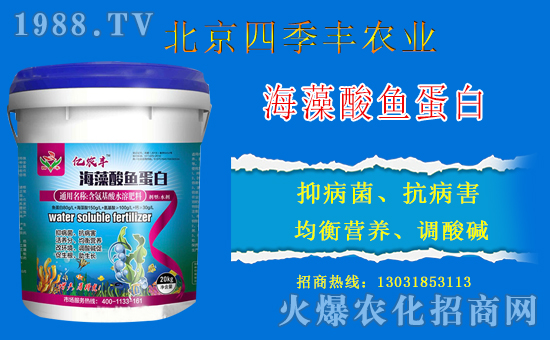 �����ļ��S�c���r(n��ng)���W(w��ng)���m(x��)ǰ�����y�ֹ���(chu��ng)���x����