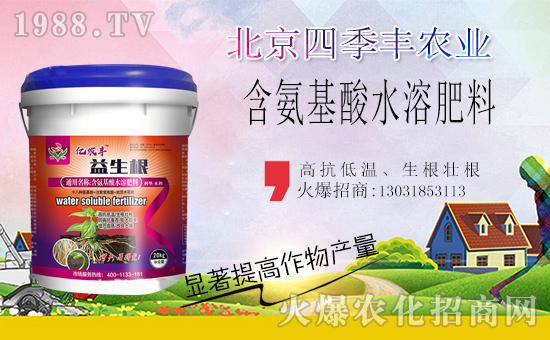 �����ļ��S�c���r(n��ng)���W(w��ng)���m(x��)ǰ�����y�ֹ���(chu��ng)���x����