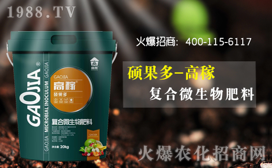 ���ϸ߼�����ɹ����v�r(n��ng)���W(w��ng)���_��(chu��ng)�W(w��ng)�j(lu��)���������E��