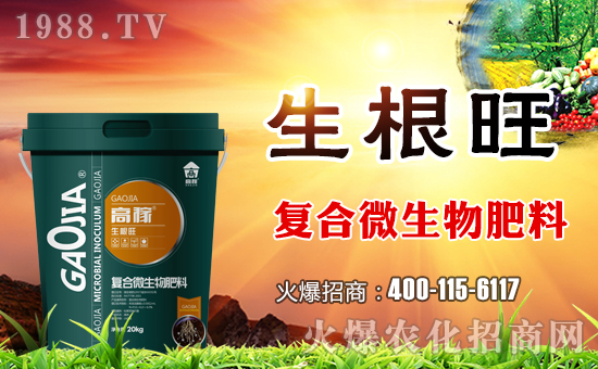 ���ϸ߼�����ɹ����v�r(n��ng)���W(w��ng)���_��(chu��ng)�W(w��ng)�j(lu��)���������E��