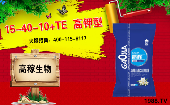 ���ϸ߼�����ɹ����v�r(n��ng)���W(w��ng)���_��(chu��ng)�W(w��ng)�j(lu��)���������E��